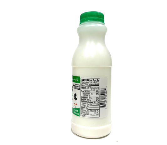 Karoun Yogurt Mint Drink