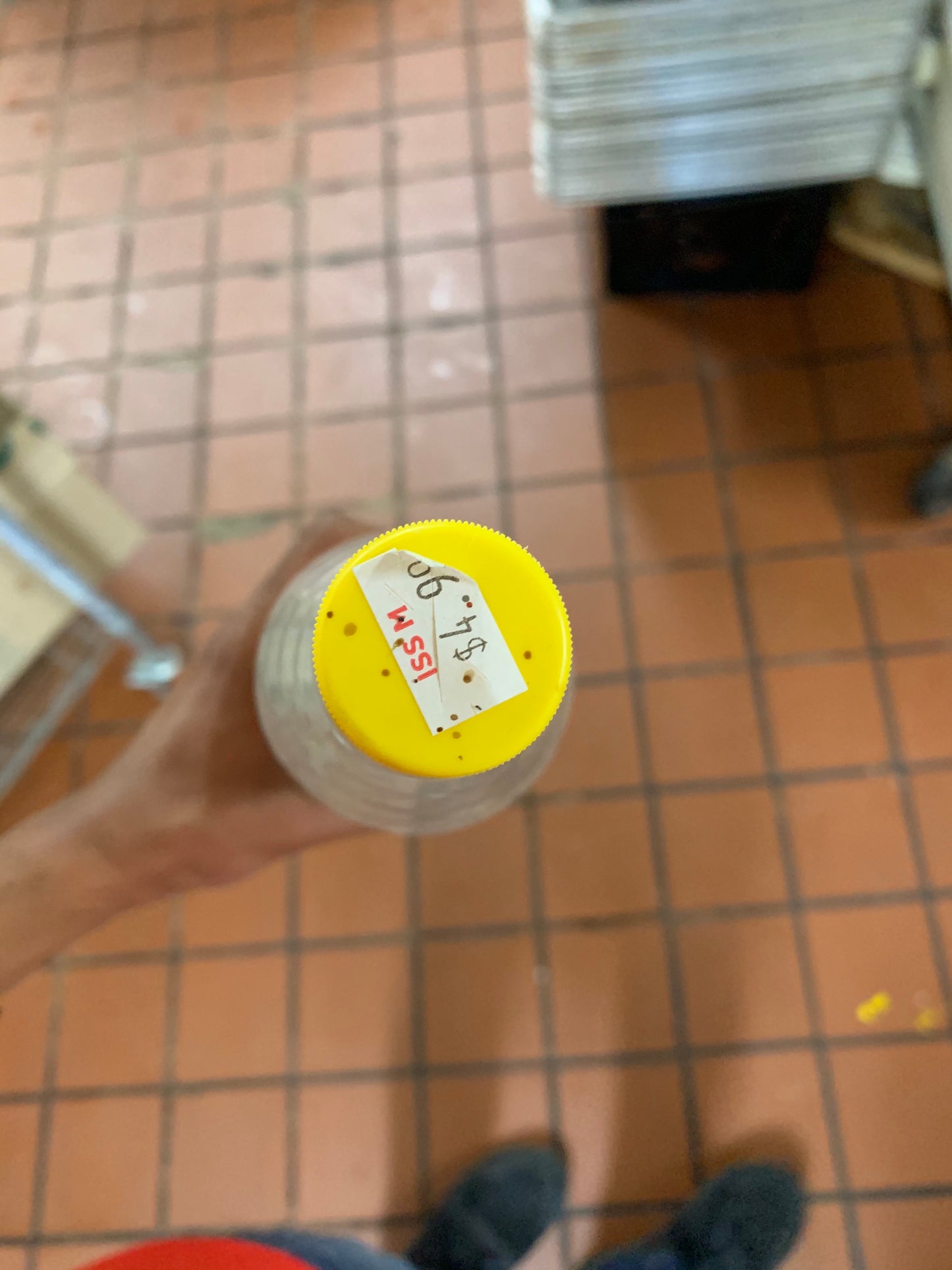 Fennel Ark 750ml