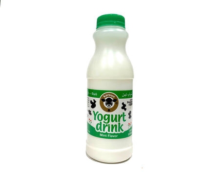 Karoun Yogurt Mint Drink